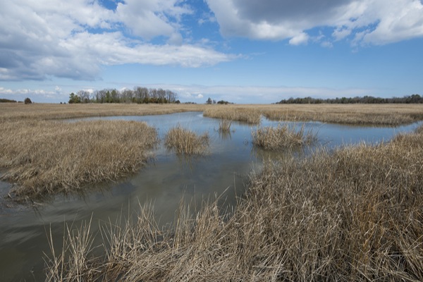 NSF awards $20 million to statewide consortium