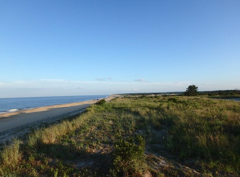 coast near Lewes, Delaware