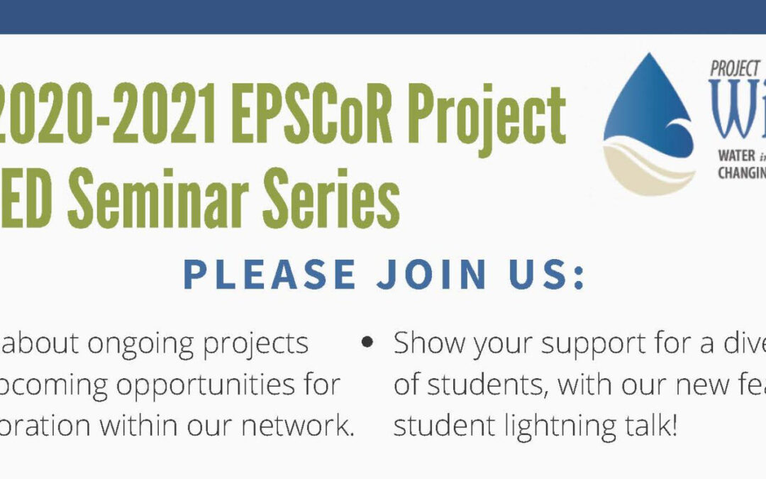 Spring 2021 Seminar Series