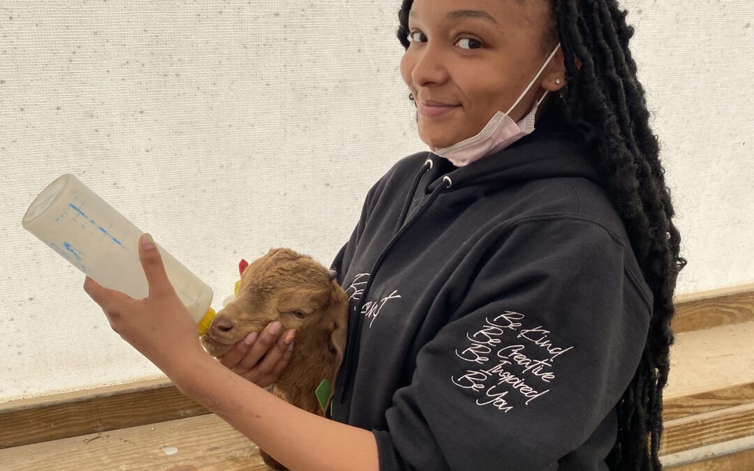 Ayiana James’s Summer Internship Launched Her into Graduate School at UD