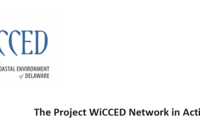 2022 Project WiCCED Newsletter