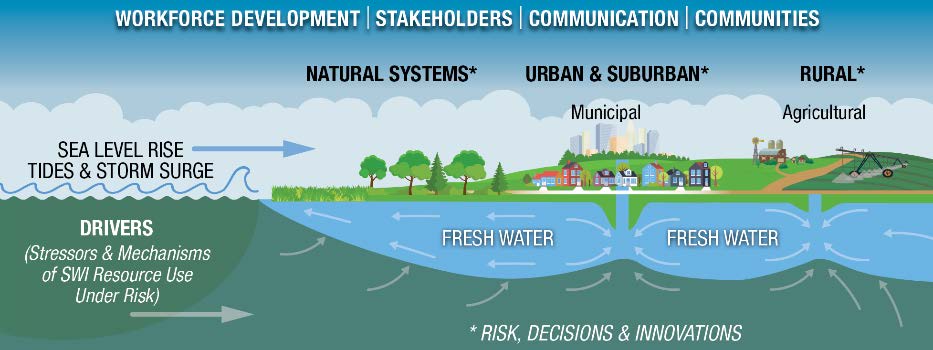 WiCCED Salt - Conceptual Model