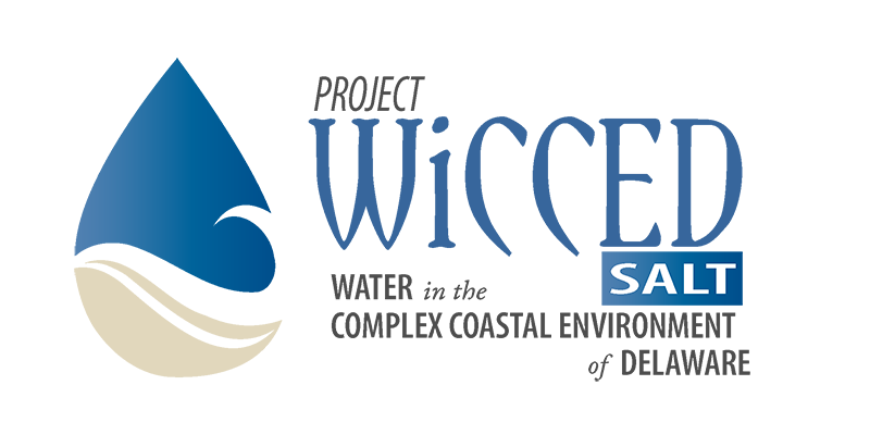 Project WiCCED Salt